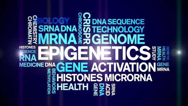 Epigenetics animated word cloud;text design animation tag kinetic typography seamless loop.