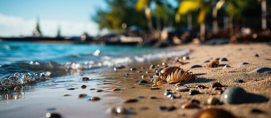 Autumn leaves on a sandy beach in the tropics. Selective focus. - obrazy, fototapety, plakaty