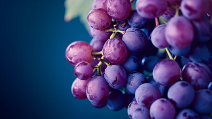 bunch of grapes