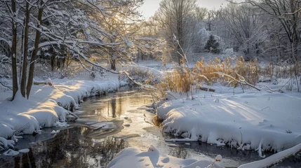 Foto op Plexiglas Snowy creek in the woods © 2rogan