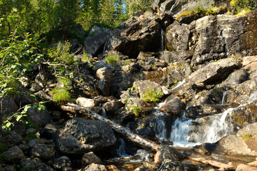 The stormy stream of the river flows down in a swift stream from high stones in a dense summer forest.