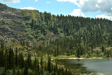 A fragment of a large lake with tall pine trees on the shore at the foot of a high gently sloping mountain under a cloudy summer sky.