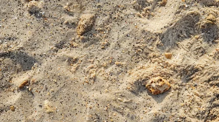 Poster Giraffes and sand with small animal print © 2rogan
