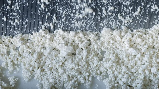 Soft White Curds Of Cottage Cheese On Automated Conveyor Machine Of Dairy Food Factory. Conveyor Moves Fresh Curds Of Cottage Cheese. Conveyor Production. Cottage Cheese Covered In Milk Whey