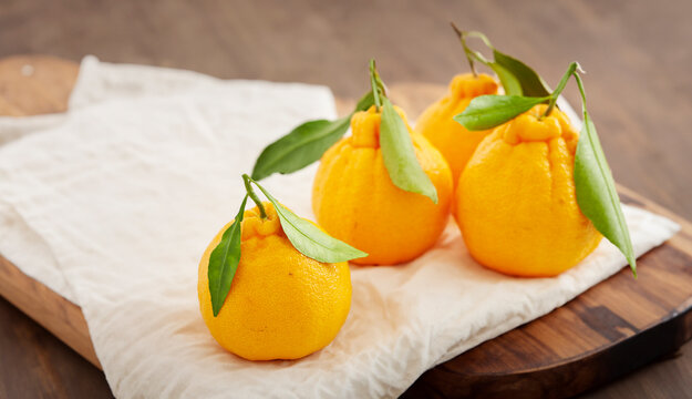 Hallabong , Citrus reticulata 'Shiranui'