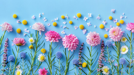 A colorful assortment of spring flowers laid out in a creative flat lay on a blue backdrop.