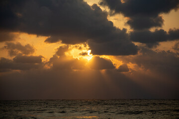 奄美、海、波、自然、