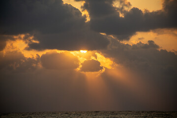 奄美、海、波、自然、