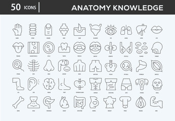 Anatomy Knowledge Icons Collection For Business, Marketing, Promotion In Your Project. Easy To Use, Transparent Background, Easy To Edit And Simple Vector Icons