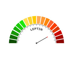 Leptin bad level on measure scale. Instrument scale with arrow. Colorful infographic gauge element. The human obesity protein that regulates an appetite by inhibiting hunger. - obrazy, fototapety, plakaty