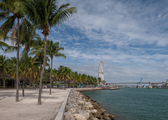 Miami summer view in the city - 781739553