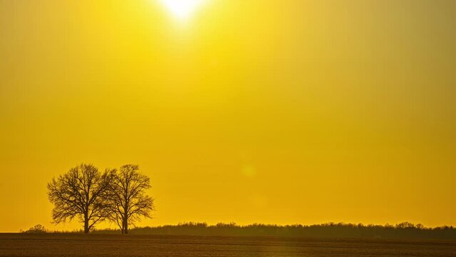 Sunset transition time lapse sun down yellow orange sky agriculture field