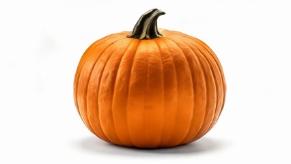  Vibrant Pumpkin Perfect for Fall Decor