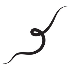 Hand drawn doodle decorative collection of squiggly lines isolated. swirly line doodle. 11:11