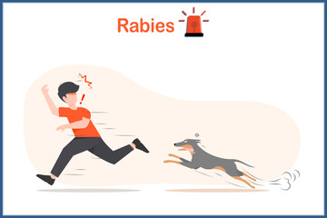 Medical vector illustration in flat style. Rabies concept.A gray dog ​​infected with rabies.Chasing and biting a man who was running away in extreme shock. Dogs can be carriers of rabies.