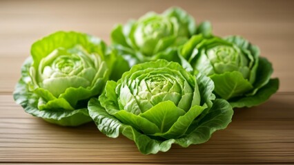 Fototapeta premium Fresh and vibrant green lettuce leaves