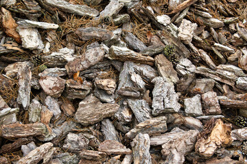 Wood chips of light brown color and rough texture