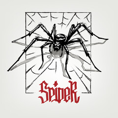 Spider on the web, vector illustration