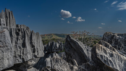 Bizarre karst limestone cliffs against a blue sky and clouds. Rough grey slopes with furrows. Sharp...
