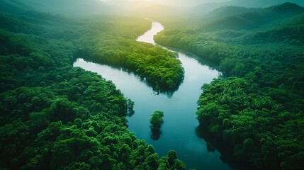 Aerial view of a winding river cutting through a dense, untouched forest, showcasing nature's...