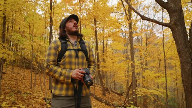 Man stops to take photos of trees during Autumn.