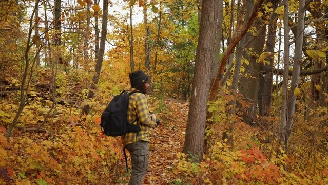 Photographer walks up forest trail and takes photos of the autumn colours.