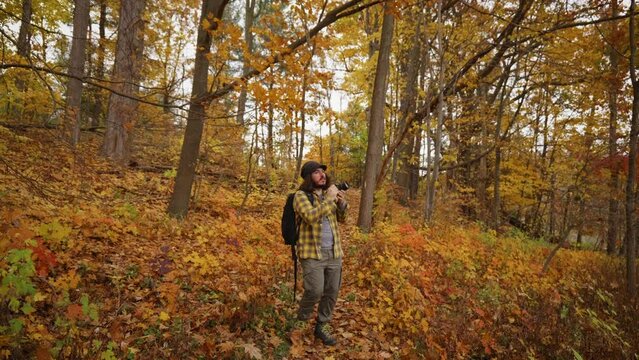Photographer walks on forest trail and takes photos of the beautiful autumn colours.