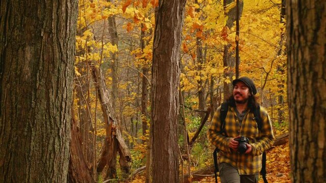 Man wearing hat walking through forest during autumn stops to take photos of trees.