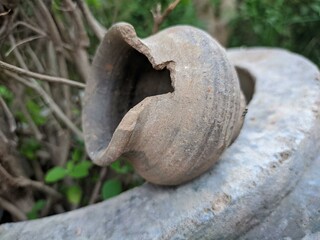  Captured a stunning still life photo of a skull on a rock. Feeling inspired by nature's beauty. 