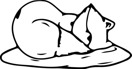 Hand drawn baby fox illustration, Transparent background.
