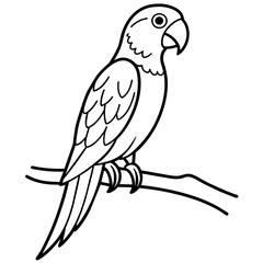 Fototapeta premium parrot on a branch