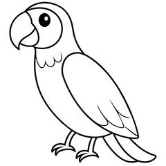 parrot