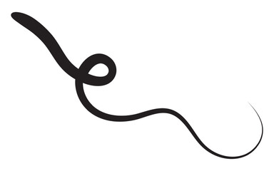 Swoosh and swash, swish vector line icon, black underline set, hand drawn swirl and curly text elements. Doodle retro collection isolated on white background. Swirly line doodle. 11:11