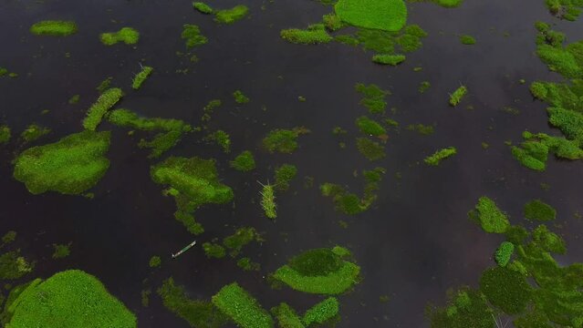 Aerial view loktak lake is the largest freshwater lake and thanga village in India as well as the largest lake in manipur north east India.