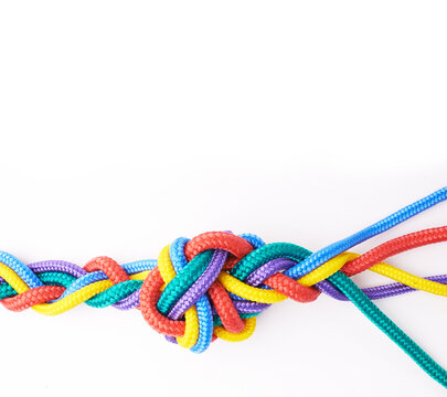 Rope, ties and unity of color in knot or braid on white background in studio for solidarity. Security, cord and abstract connection of rainbow society with ties together in collaboration of community