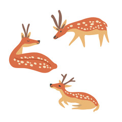 Spotted deer set, decorative cartoon flat vector forest animal isolated on white background, wild reindeer, simple illustration cute mammal for design children pattern, Christmas icon, maps for kids