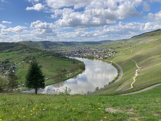 Blick aus den Weinbergen auf die Landschaft, nahe Kröv an der Mosel im Frühling - 781831170