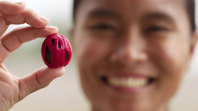 smiling young female farmer holding fresh nutmeg with red mace, harvest