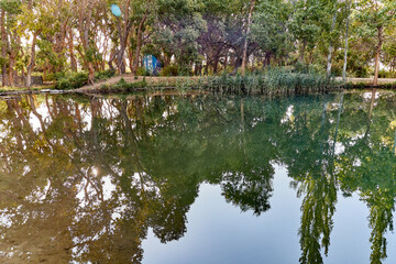 pond with overgrown banks and the reflection of trees in the water