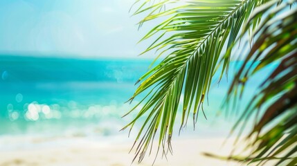 Palm fronds frame a blurry, sunlit tropical beach, creating a serene summer backdrop.