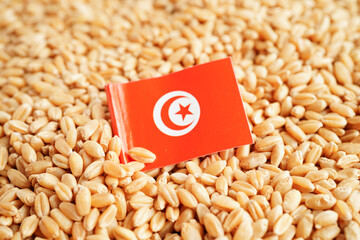 Tunisia flag on grain wheat, trade export and economy concept.