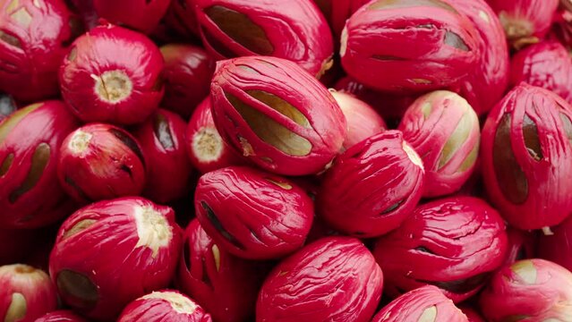 pile of fresh aromatic nutmeg seeds with red mace, harvest