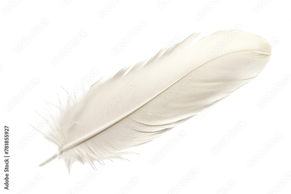 Wall mural feather isolated on white background