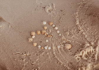Seashell Heart on the beach sand