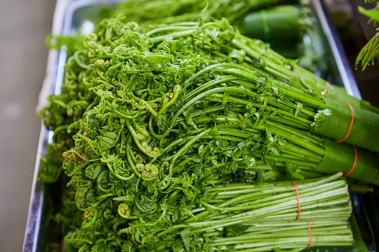 Close-up of Paco Fern tied up for sale at market stall