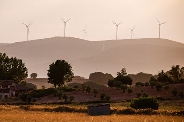 Fields with windmills at sunset