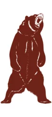 Wandaufkleber brown bear on its hind legs © Valerii