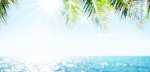 Blurred sunny sea landscape with sun, sea, palm leaves