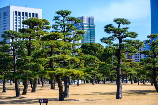 parques en japon