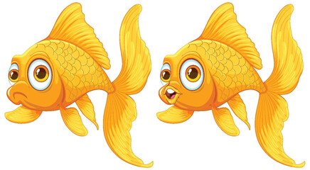 Two vibrant goldfish swimming side by side. - 781864754